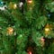 6ft. Pre-Lit Rowan Pencil Slim Artificial Christmas Tree, Multicolor Lights